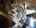 Deer head sculpture with antlers in ice by Louisville Ice Sculptures. Price $275