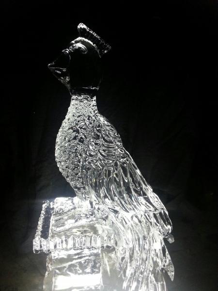 Elegant peacock ice sculpture for a centerpiece. $300