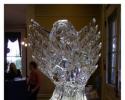 This hand carved ice angel from Louisville Ice Sculptures is praying with beautiful full wings. Price $275