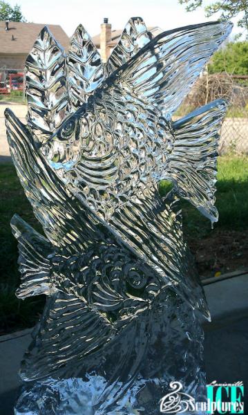 This fish ice sculpture was created by Louisville Ice Sculpture and is very enjoyable for any occasion! Price $325